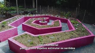 MATA DO INTELECTO