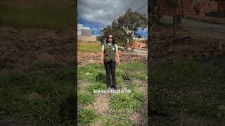 Alerta Período de Queimadas - Meio Ambiente